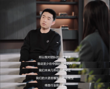 不少人质疑抱负正在