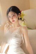 元展商业无限公司和恒邦微电子无限公司此前已